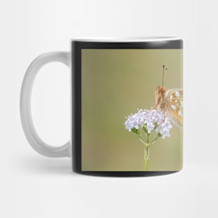 Dark Green Fritillary Butterfly on a White Valerian Flower Mug